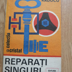 Viorel Raducu - Reparati singuri - Colectia: Crista - 1985