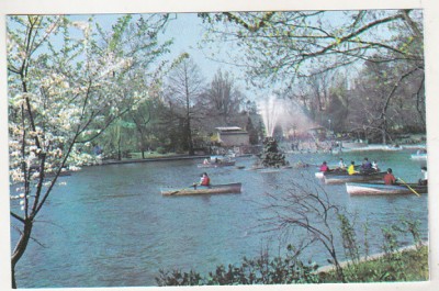 bnk cp Bucuresti - Gradina Cismigiu - necirculata foto