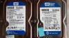 Hard disk WD Blue , Thoshiba , Segate 500 Gb, SATA III, 7200 RPM, 16MB Buffer, Western Digital
