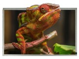 Display TFT Riverdi 12,1" 1280x800 LED SM-RVT121HVLNWN00