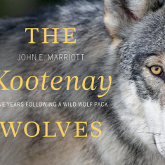 The Kootenay Wolves: Five Years Following a Wild Wolf Pack
