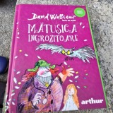 Matusica ingrozitoare - David Walliams