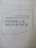 Comele hepatice - Gh. Galea