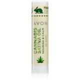 Avon Cannabis Sativa Oil Nourish &amp; Calm balsam de buze cu ulei de canepa 4,5 g