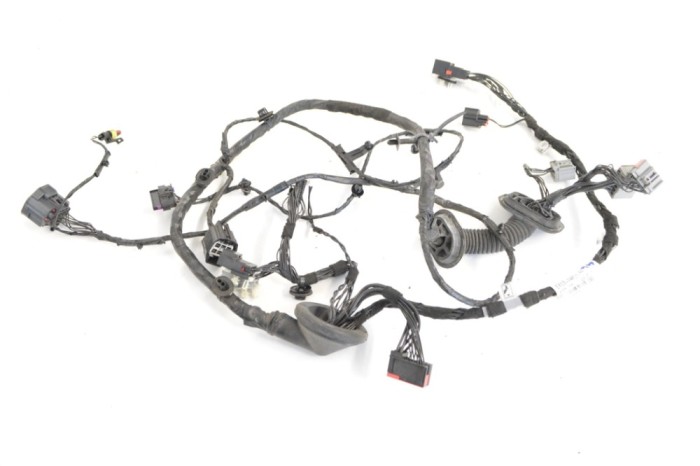 Cablaj ușă dreapta față JAGUAR F-TYPE Coupe X152 2018 OEM: EX53-14631-FF 12055903