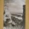 QW27 T - Carte postala - tematica turism - vedere - Romania - Targu Neamt 6