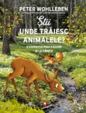 Stii unde traiesc animalele? O expeditie prin padure si pe la campie/Peter Wohlleben