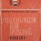 PROBLEME DE FIZICA PENTRU LICEU VOL.1 MECANIA, TERMODINAMICA, FIZICA MOLECULARA-GABRIELA CONE, GHEORGHE STA-272527