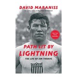 Path Lit by Lightning