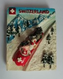 D4 - Magnet frigider - tematica turism - Elvetia 3