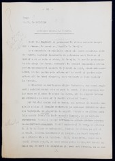 GEO BOGZA - O PISICA MIAUNA LA VENETIA - ARTICOL PENTRU ZIAR , DACTILOGRAFIAT , CU CORECTURILE, MODIFICARILE SI ADAUGIRILE OLOGRAFE ALE AUTORULUI ,