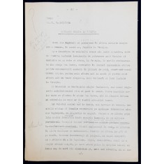 GEO BOGZA - O PISICA MIAUNA LA VENETIA - ARTICOL PENTRU ZIAR , DACTILOGRAFIAT , CU CORECTURILE, MODIFICARILE SI ADAUGIRILE OLOGRAFE ALE AUTORULUI ,