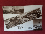 Tg. Mures - imagini multiple - carte postala necirculata, Fotografie