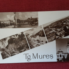 Tg. Mures - imagini multiple - carte postala necirculata