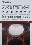 Temenos. Imprejurul spatiului sacru - Augustin Ioan