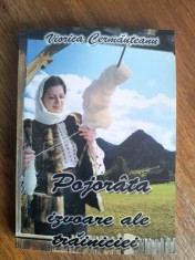 Pojorata , monografie - Viorica Cernnauteanu / R2P3S foto