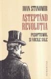 Ioan Stanomir - Asteptand revolutia. Pasoptismul si vocile sale