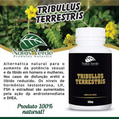 TRIBULUS TERRESTRIS 5 seminte pentru semanat foto