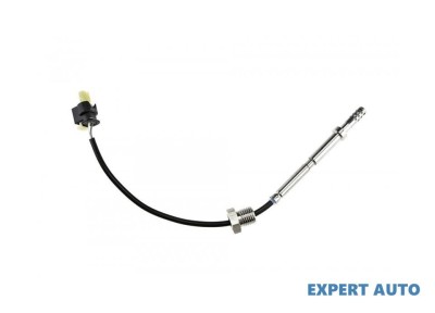 Senzor temperatura gaze dpf Mercedes B-Class (2005-2011) [W245] #1 foto