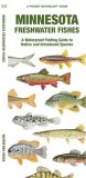 Minnesota Freshwater Fishes: A Waterproof Folding Guide to Familiar Species