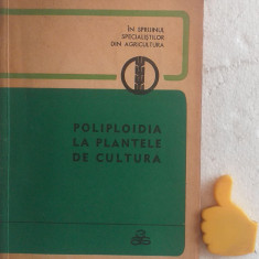 Poliploidia la plantele de cultura Z. Stanescu