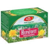 HEPATOFIT D156 1,5GR*20DZ