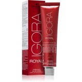 Schwarzkopf Professional IGORA Royal culoare par culoare 3-68 60 ml