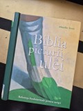 Biblia picturii in ulei de Marylin Scott