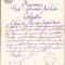 A276 Certificat de inginer hotarnic eliberat de județul Vaslui &icirc;n anul 1884