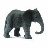 Figurina Pui de elefant african - Collecta
