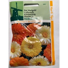 Seminte flori Calendula Officinalis Pacific Beauty - Galbenele Horti Tops 1 g.