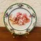 FARFURIE DECORATIVA DIN PORTELAN FIN- MARCAJ THOMAS BAVARIA D21CM