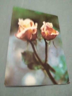 CARTE POSTALA FELICITARE CIRCULATA foto