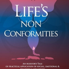 Life's Non Conformities: An Auditor's Tale of Practical Application of Social, Emotional & Behavioral Strategies