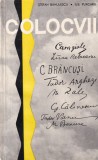 Stefan Banulescu, Ilie Purcaru - Colocvii. Artistul si epoca