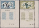 Teritoriul Antarctic Francez (PA) - 1956 - Terre Adelie - Fauna