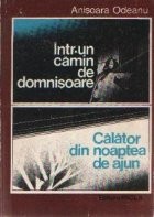 Intr-un camin de domnisoare. Calator din noaptea de ajun foto