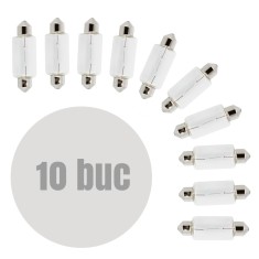 CARGUARD - Bec auto SV8.5- 15x41mm 12V 5W - set de 10