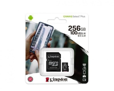 Card Memorie SD 256 GB foto