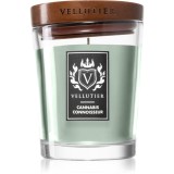 Vellutier Cannabis Connoisseur lum&acirc;nare parfumată 225 g