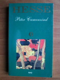 Hermann Hesse - Peter Camenzind