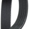 GATES 5PK1545 Micro-V&reg; Curea transmisie cu caneluri