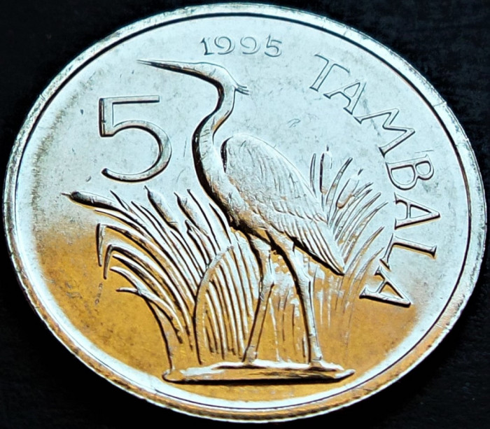 Moneda exotica 5 TAMBALA - Republica MALAWI, anul 1995 * cod 5070 B = UNC