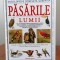 David Alderton (cu ilustrații de Peter Barett), Enciclopedie completă ilustrată - Păsările lumii