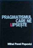 Mihael Pavel Popovici - Pragmatismul care ne lipseste