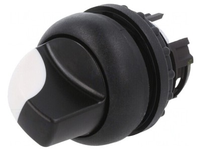 Comutator Rotativ 22mm Alb-Negru foto
