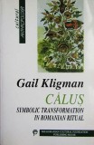 Gail Kligman - Calus. Symbolic transformation in Romanian ritual (Calusul Calusarii ritual simbolismul dans folclor Mircea Eliade Ioan Petru Culianu)