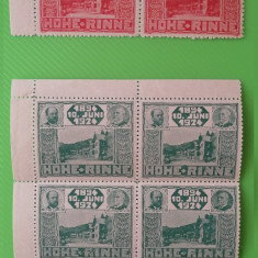 1924 HOHE RINNE - POSTA LOCALA PALTINIS - MNH - Guma originala