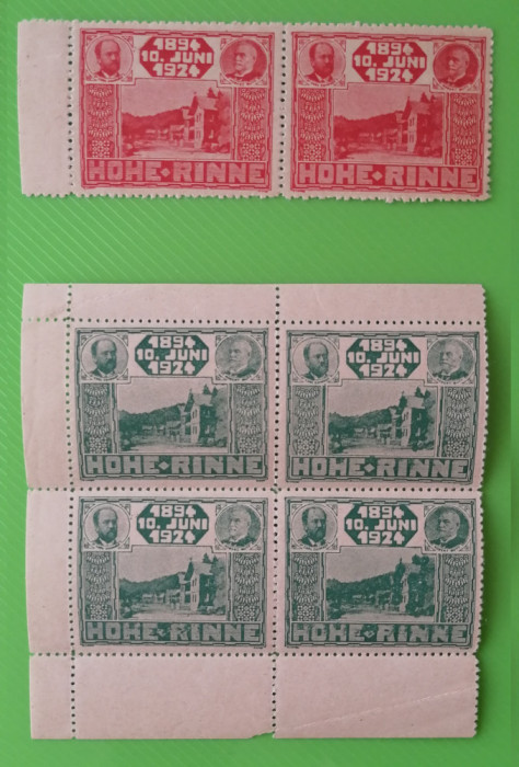 1924 HOHE RINNE - POSTA LOCALA PALTINIS - MNH - Guma originala