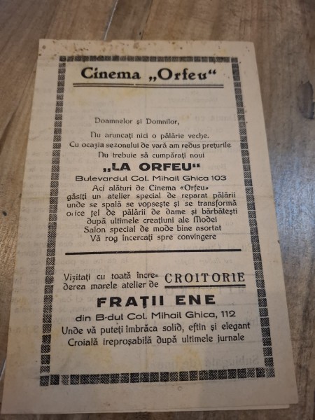 Program Cinema Orfeu